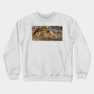 Black backed Jackal. Crewneck Sweatshirt